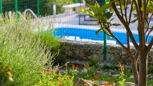 Une piscine entourée de verdure et bordée d’un mur de pierre.