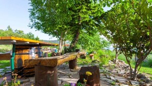 Un espace extérieur aménagé dans un style rustique, avec des bancs en pierre et une table en bois, entouré d’une végétation luxuriante et bordé d’un sentier en pierre.