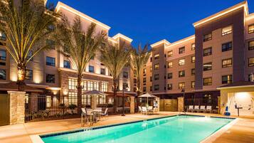 A hotel pool area with a clear pool, palm trees, and a well-lit building facade.