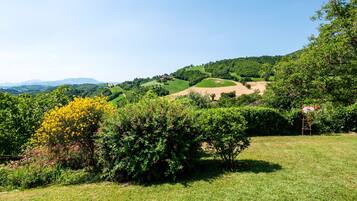 House | View from property