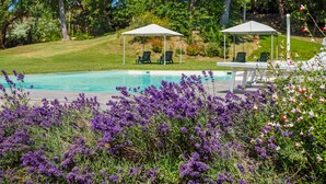 Un área de piscina con dos sombrillas blancas, rodeada de exuberante follaje y flores púrpuras.