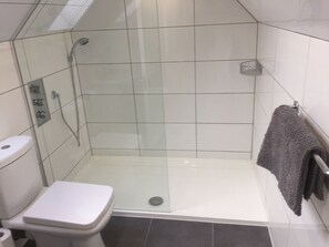 Ducha, secador de pelo y toallas