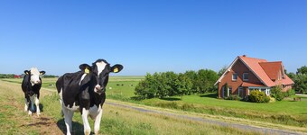 Ferienwohnung Leuchtturm - Ferienhof Heinen in Elisabethgroden