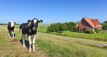 Ferienwohnung Leuchtturm - Ferienhof Heinen in Elisabethgroden