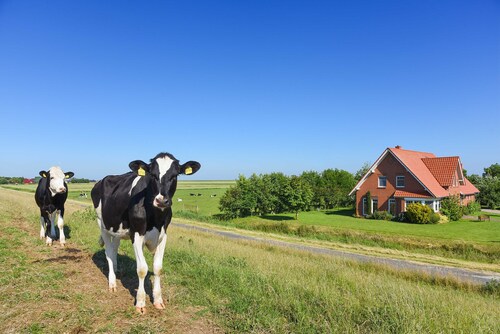 Ferienwohnung Deichwind - Ferienhof Heinen in Elisabethgroden