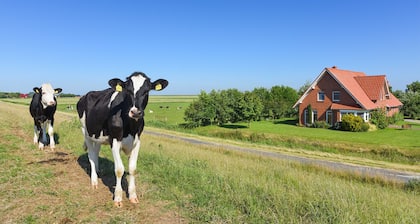 Ferienwohnung Deichwind - Ferienhof Heinen in Elisabethgroden