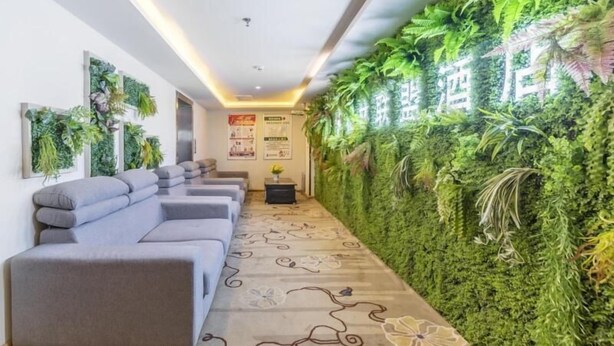 A modern waiting area with a green wall, grey sofas, and a patterned carpet. - Greentree Alliance Liaocheng Dongchangfu District Chenkou Road Liaocheng University Hotel (Liaocheng)