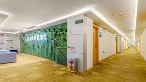 A hotel corridor with a green wall, wooden flooring, and a reception area with a sofa. - Greentree Alliance Liaocheng Dongchangfu District Chenkou Road Liaocheng University Hotel (Liaocheng)