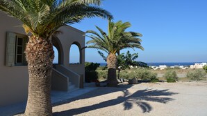 A building with a staircase, palm trees, and a view of the sea.