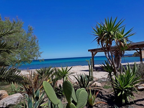 Una spiaggia nelle vicinanze