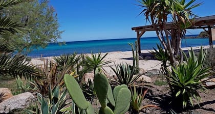 Villa, superb sea view, heated swimming pool, 9-minute walk to the beach