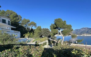 Property grounds - Villa Monaco - 10 min from the centre of Monaco (Roquebrune Cap Martin)