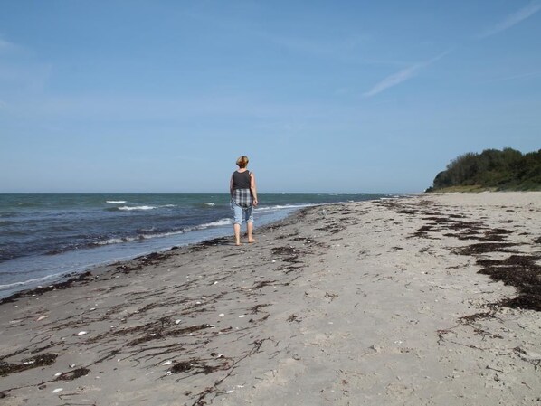 Nära stranden