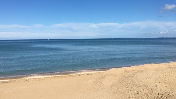 Une plage avec un ciel dégagé et une mer calme.