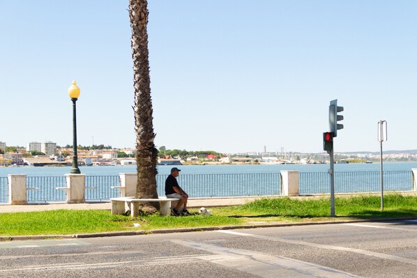 A man sitting on a bench by a waterfront with a traffic light and lamp post in the foreground.