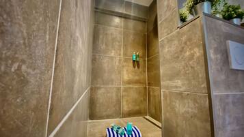 Shower, hair dryer, bathrobes, towels