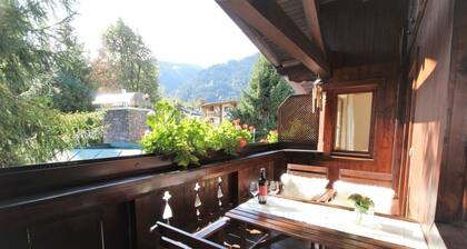 Meikl - 2 bedroom apartment in Kitzbuehel