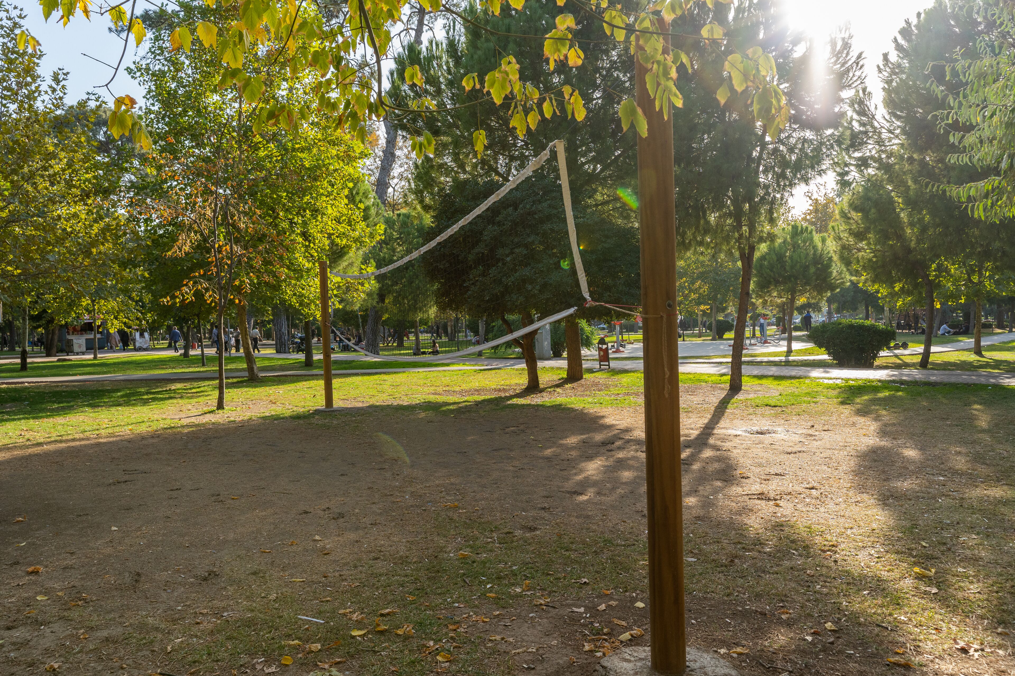 Un parque con árboles, césped y cielo despejado.