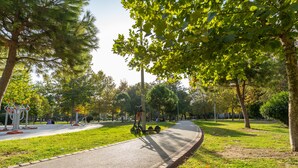 Un parque con un camino pavimentado, equipo de ejercicio y árboles.