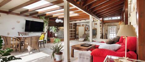 Televisor, llar de foc, reproductor de DVD i estèreo