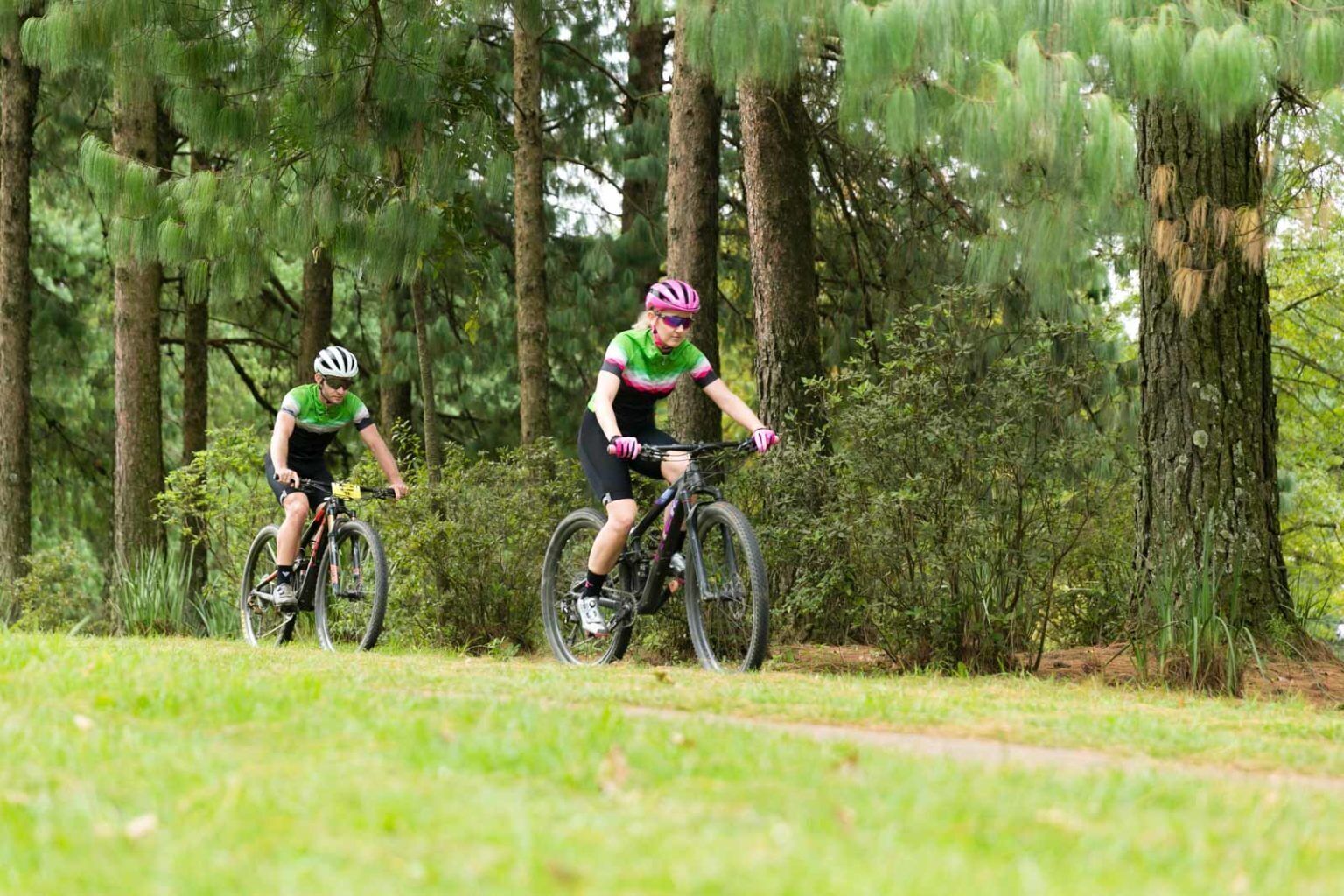 Dos ciclistas en un sendero rodeado de árboles.