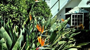 Garden - Beckhuis (Worcester)