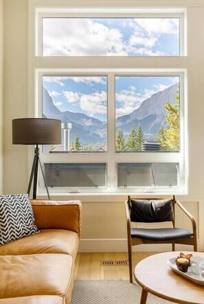 Smart TV, fireplace, books, offices