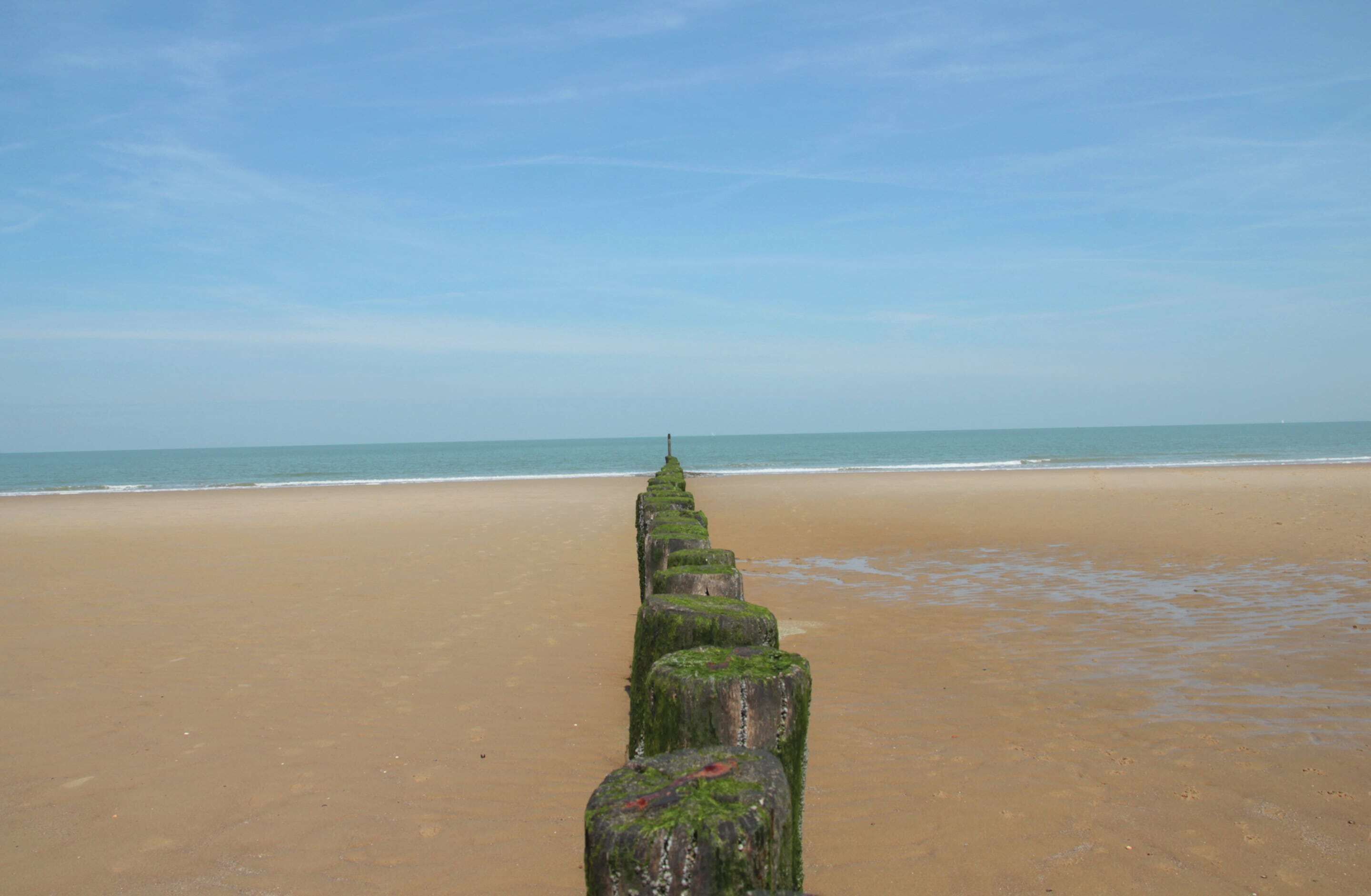 House | View from property