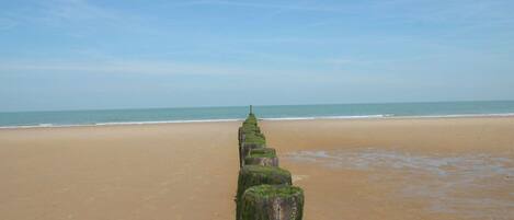 獨棟房屋 | 住宿景觀