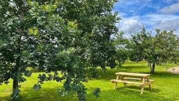 Apartment | Property grounds