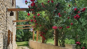 A stone building with a wooden pergola covered in red roses. - Quiet vacation rental for 5 people with a safe swimming pool (Salviac)
