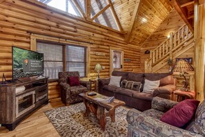 Televisión, chimenea, reproductor de DVD y libros 