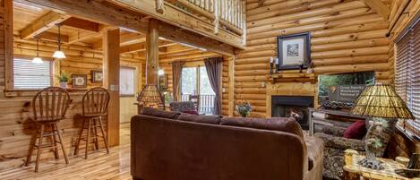 TV, fireplace, DVD player, books