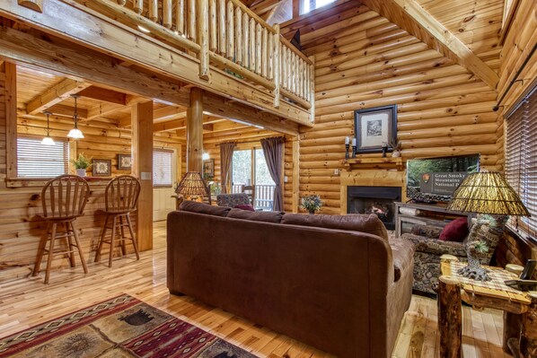 TV, fireplace, DVD player, books