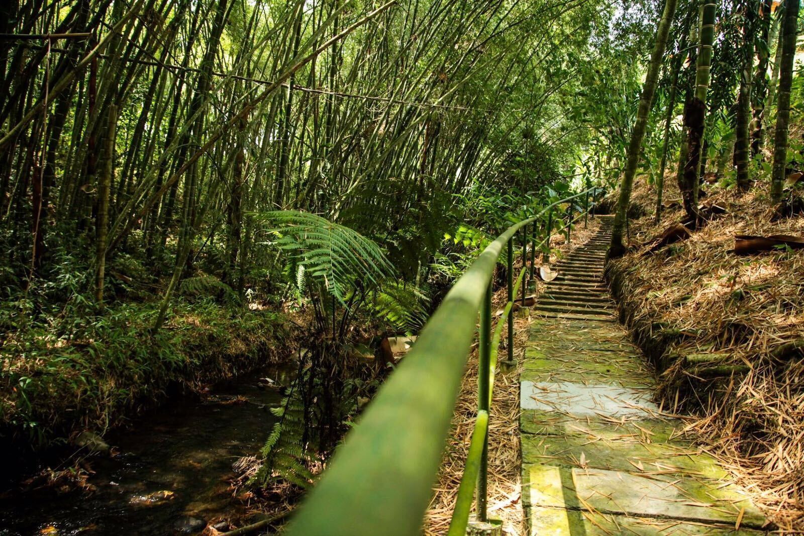 Overnatningsstedets område