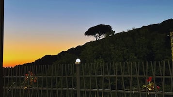 Pool-Side Room | Terrace/patio