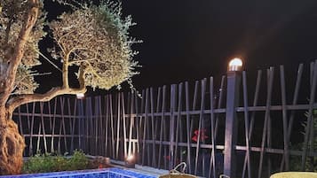 Premium Pool-Side room | Terrasse/patio