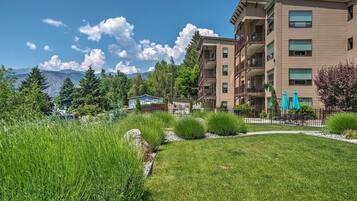 Terrain de l’hébergement