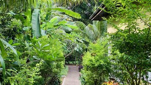 Front of property - OSoleil Guesthouse (La Digue)