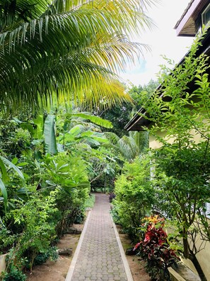Front of property - OSoleil Guesthouse (La Digue)