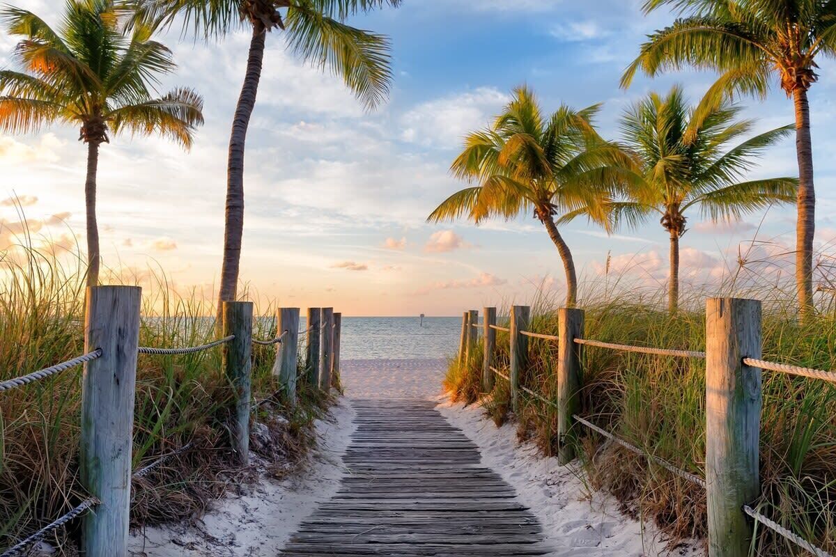 A wooden pathway leading to a beach with palm trees on both sides. - Sun-kissed Retreat: Pool, Beach Access, BBQ & Balcony! (Miami Beach)