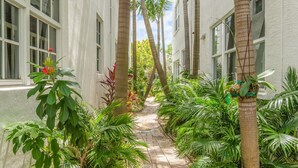 Un étroit sentier bordé de hauts palmiers et d’une végétation luxuriante, qui mène à un bâtiment doté de grandes fenêtres.