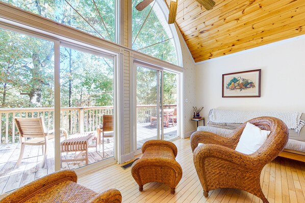 TV, fireplace, video games, DVD player