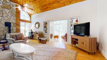 電視、壁爐、電子遊戲、DVD 播放機