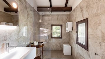 Shower, hair dryer, bidet, soap