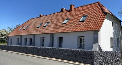 Ostseekrabbe