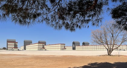 The Armadillo Hotel