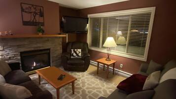 Télévision, cheminée, lecteur de DVD