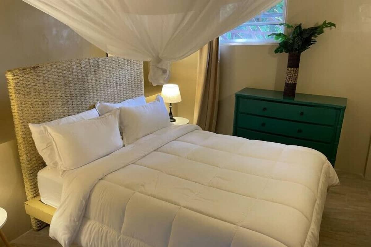 A neatly made bed with white bedding, a woven headboard, a bedside lamp, and a green nightstand with a plant.