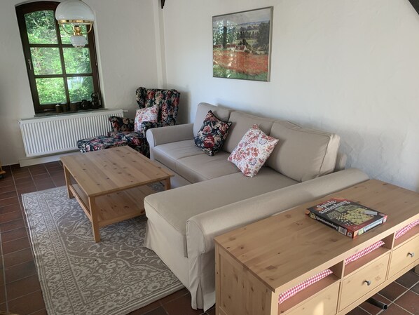 TV, fireplace, DVD player, books